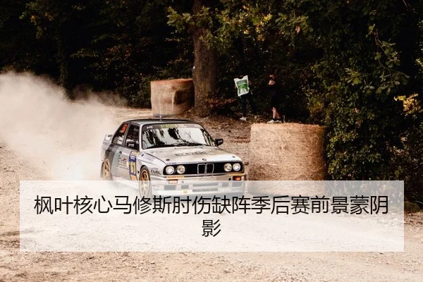 枫叶核心马修斯肘伤缺阵季后赛前景蒙阴影